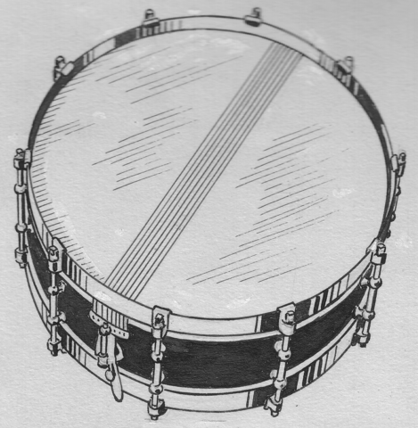A drawing of a snare drum